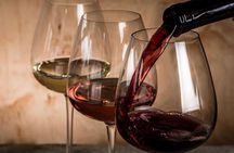 Private Athens Wine Tasting (with a Personal Licensed Wine Guide)