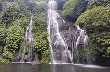 North Bali Private Tour - All Inclusive
