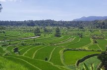 North Bali Private Tour - All Inclusive