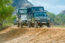 Day Tour to Wilpattu National Park from Colombo
