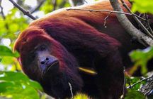Slow Travel from Quito to Cuyabeno Amazon
