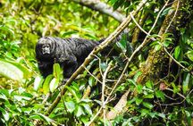 Slow Travel from Quito to Cuyabeno Amazon
