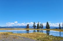 Yellowstone Wildlife Tour