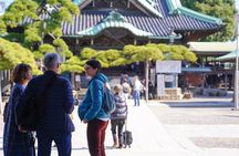 Half-Day Local Tokyo Tour in Adachi Market and Shibamata