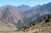 Day trip to Ourika Valley Atlas Mountains
