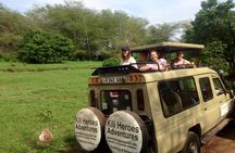 Tanzania Safari 4-day Tour