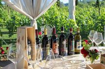 Wine Tasting & Shuttle Service