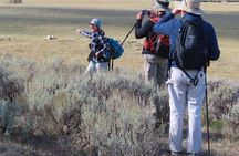 Lamar Valley Safari Hiking Tour with Lunch