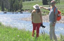 Lamar Valley Safari Hiking Tour with Lunch