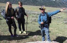 Lamar Valley Safari Hiking Tour with Lunch