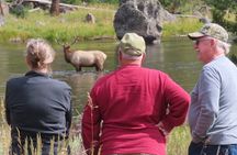 Upper Loop Tour and Lamar Valley from West Yellowstone