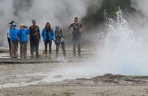 6-Mile Geyser Hiking Tour in Yellowstone with Lunch