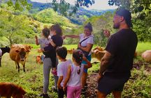 Finca El Paraiso Farm Cheese Tour in Monteverde