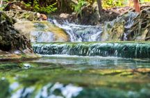 Krabi's Hidden Gems: Emerald Pool & Hot Spring Tour
