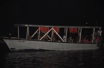 Luminous Lagoon Night Tour from Montego Bay
