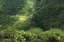 Hike St. Kitts: Highest peak Mount Liamuiga Volcano 
