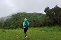 Amazing 1 Day Trekking Experience in Kathmandu Nepal