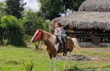 Horseback Riding tour near Santo Domingo with pick up and dropoff