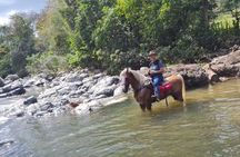 Horseback Riding tour near Santo Domingo with pick up and dropoff