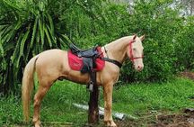 Horseback Riding tour near Santo Domingo with pick up and dropoff