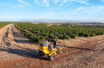 Private Barossa's Best Sightseeing Tour for Two