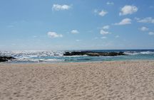 Tour in Buggy Cedral History Snorkeling and Lunch in Cozumel