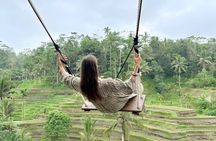 Bali Tour : Best Attractions in Ubud with Rice Terrace