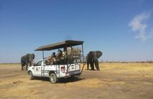 Hwange Park Big 5 Game Drive!