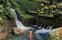 Ubud Tour With Tirta Empul Holy Water Temple 