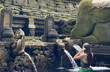 Ubud Tour With Tirta Empul Holy Water Temple 