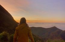 Munnar Daily Tour
