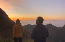 Munnar Daily Tour