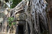 Angkor Wat Private tour from sunrise