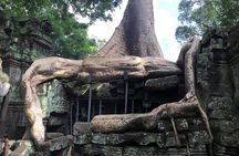 Angkor Wat Private tour from sunrise
