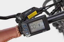 Madrid Central and Retiro Park E-bike Tour