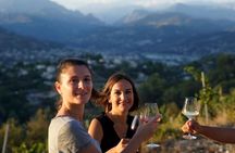 Vineyard Tour with Wine Tasting within Nice city borders