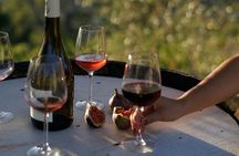 Vineyard Tour with Wine Tasting within Nice city borders