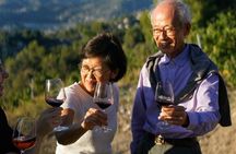 Vineyard Tour with Wine Tasting in Nice