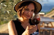 Vineyard Tour with Wine Tasting within Nice city borders