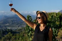 Vineyard Tour with Wine Tasting in Nice