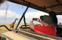 Explore Tarangire Manyara and Ngorongoro in 3 Days Safari