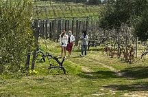 Semi-Private Wine Tour of 2 wineries with wine Tastings 