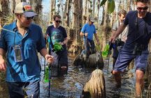 Everglades Tour w/ Biologist Led WET walk + 2 Boat Trips + Lunch!