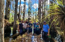 Everglades Tour w/ Biologist Led WET walk + 2 Boat Trips + Lunch!