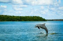 Everglades Tour w/ Biologist Led WET walk + 2 Boat Trips + Lunch!