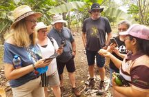 Cacao and Gastronomy Tour from Guayaquil