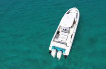 Full Day St Martin Private Charter Tour