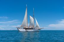 Whale's Tale Day Cruise from Port Denarau