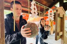 1 Day Kyoto Tour with a Local Guide