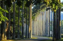 Ultimate Journey in Sri Lanka 4 Day Tours